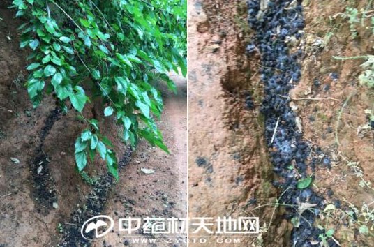 QQ截图20180420161045