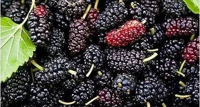 QQ截图20180420160316